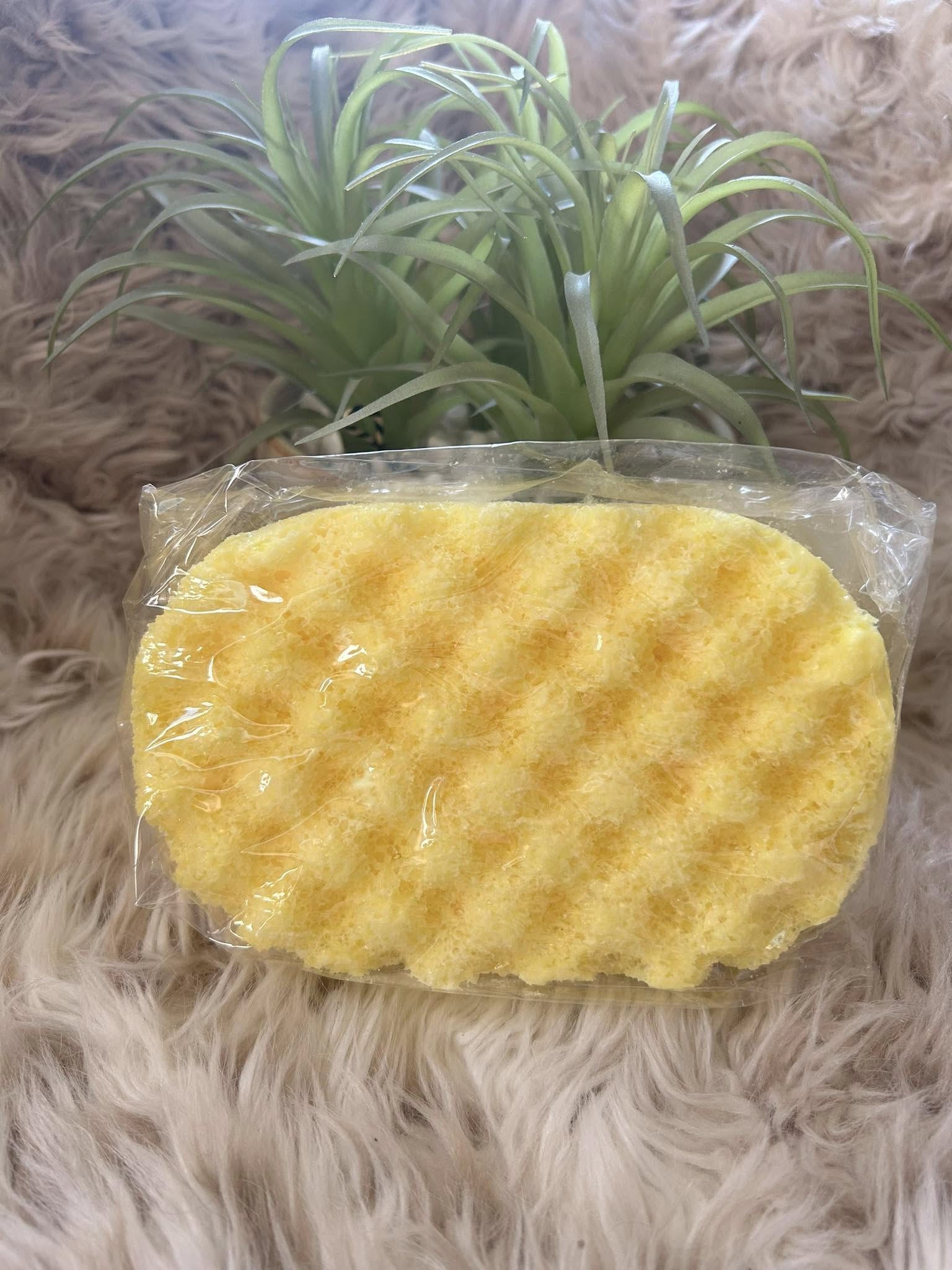 One Million All-in-one Soap Sponge